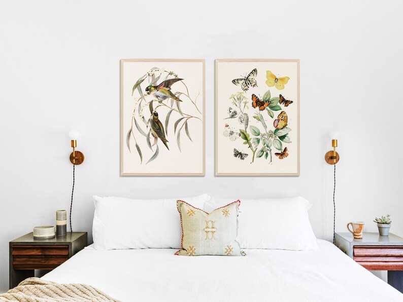 May include: Two framed botanical prints, one featuring a pair of birds perched on a branch with green leaves, the other featuring a variety of butterflies and flowers on a white background.