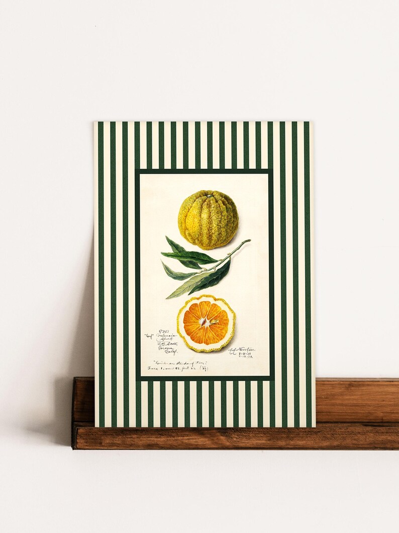 Unframed art print with orange fruit and green striped border leaning on a wooden display shelf. The print's vintage charm and citrus motif create a cheerful kitchen or pantry vibe.