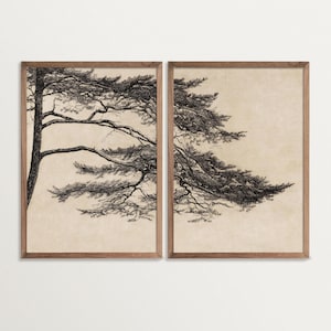 Set di stampe da parete con alberi di pino Wabi Sabi - Dittico di paesaggi boschivi vintage per decorazioni minimaliste e in stile Japandi, stampe artistiche di schizzi di alberi giapponesi
