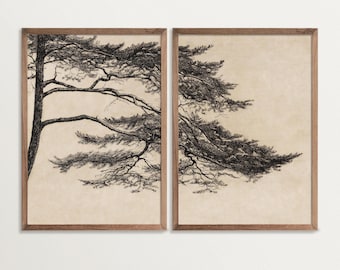 Wabi Sabi Pine Tree Wall Art Set – Vintage Woodland Landscape Diptych for Minimalist & Japandi Decor, Japanese Tree Sketch Art Prints