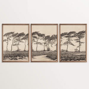 Set di 3 stampe incise di pini d'epoca, trittico da parete, schizzo minimalista Wabi Sabi, stampa artistica neutra, arredamento per la casa ispirato alla natura