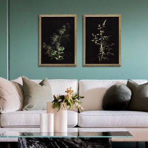 May include: Two framed botanical prints of green plants on a black background, hanging above a white sofa with cushions and a coffee table.