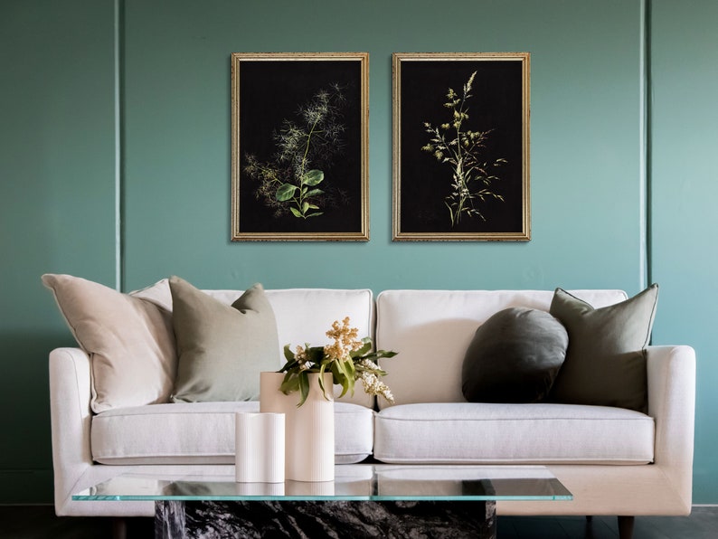 May include: Two framed botanical prints of green plants on a black background, hanging above a white sofa with cushions and a coffee table.