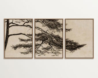 Framed Triptych Pine Tree Canvas Set, Minimalist Nature Wall Art, Wabi Sabi Japandi Home Decor