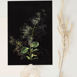 May include: A black and white botanical illustration of a green plant with delicate white flowers against a black background.