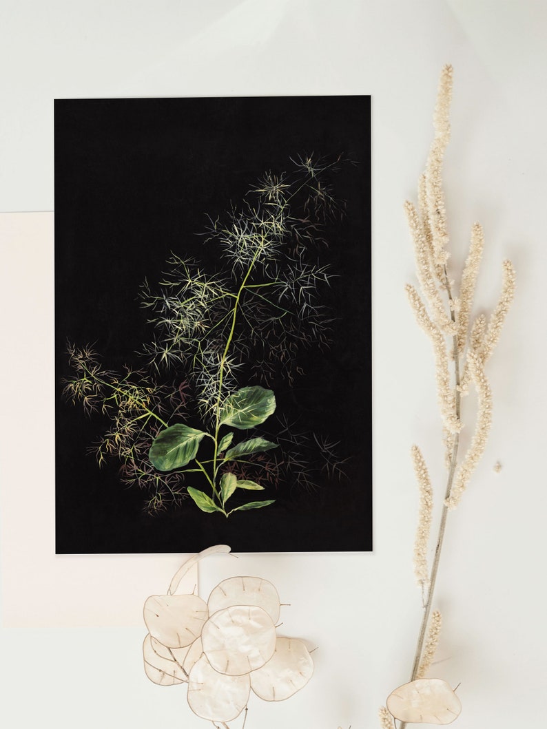 May include: A black and white botanical illustration of a green plant with delicate white flowers against a black background.