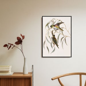 May include: A framed illustration of two birds perched on a branch of a tree with white flowers. The birds are green, yellow, and brown with black eyes. The background is white.