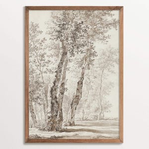 Stampa artistica di un disegno di un albero antico, schizzo di un paesaggio seppia, arte murale botanica, decorazione naturale vintage, stile rustico classico, regalo perfetto per la natura