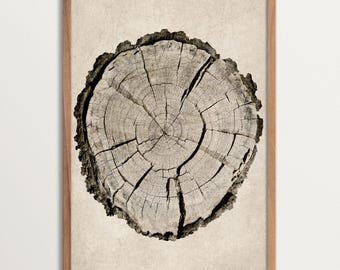 Wabi Sabi Tree Ring Wall Art Print – Rustic Nature Inspired Poster