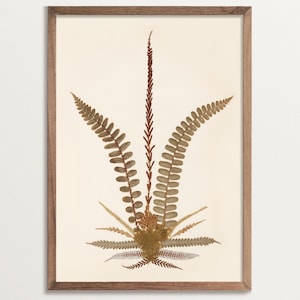 Antique Botanical Fern Print no. 02 | Pressed Flower Art Print, Cottagecore Decor, Vintage Wall Art