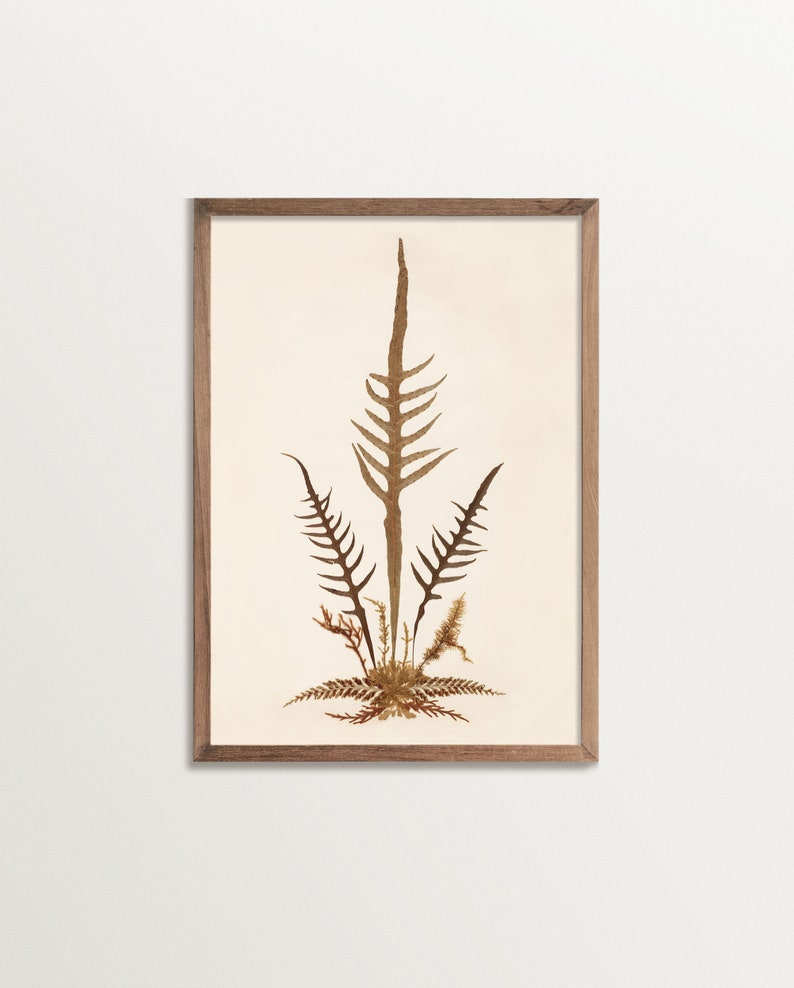 Fern Print No. 08 Pressed Flower Art Poster, Cottagecore Decor, Vintage Botanical Print image 1