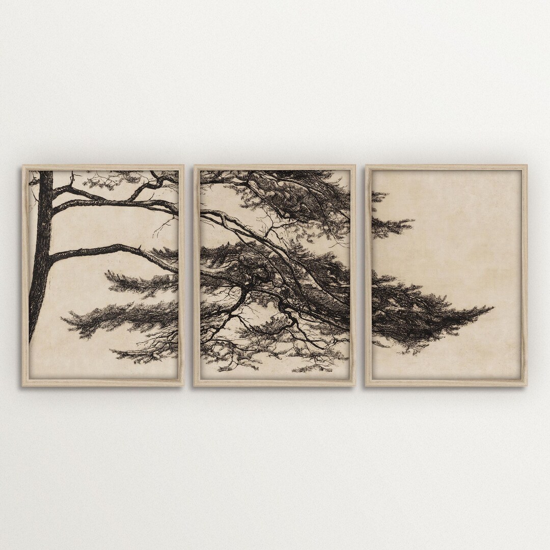FRAMED Wabi Sabi Pine Tree Triptych Wall Art – Japandi Nature Print Set ...