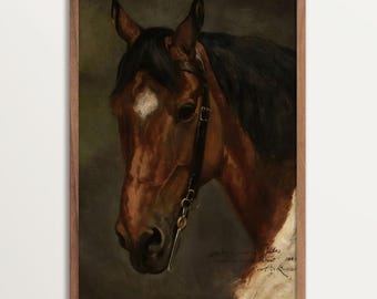 May include: A framed vintage equestrian portrait. The painting depicts a brown horse with a black mane and a white blaze on its forehead. The horse wears a bridle. The artwork is in a dark wooden frame.