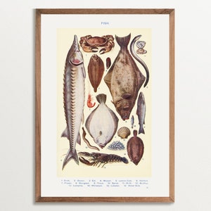 Vintage viskaart Art Print, kustkeuken wanddecoratie, zeevruchten print, culinaire kunst aan de muur, antiek visdiagram, nautisch huisdecor