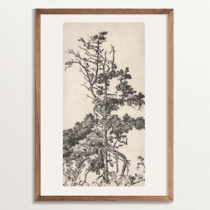 Vintage Baum Skizze Kunstdruck, Cottagecore Dekor, Baum Radierung Wandkunst