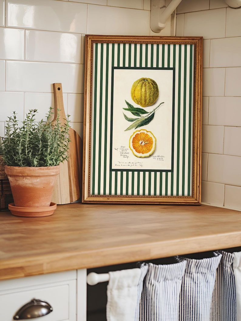 Botanical orange print in ornate gold frame resting on a wooden kitchen counter next to a potted herb. Blends vintage botanical style with rustic farmhouse kitchen decor.