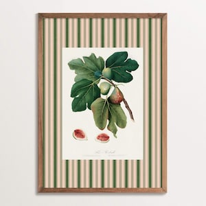 Vintage Botanical Fig Art Print, Retro Kitchen Wall Decor, Fig Fruit Poster, Botanical Wall Art, Antique Ficus Carica Illustration