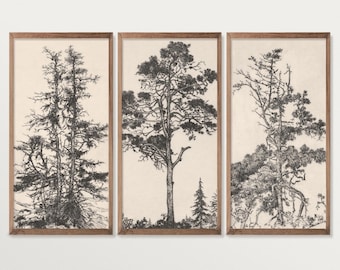 Tríptico de pared con diseño de árbol vintage, decoración cottagecore, grabado rústico de árbol.