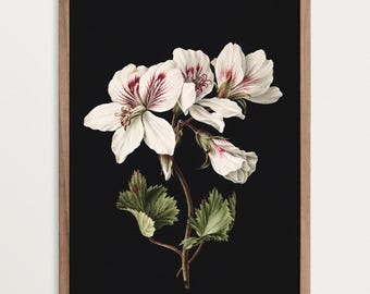 Arte mural botánico negro: estampado floral melancólico, decoración estilo academia oscura, estampado floral vintage.