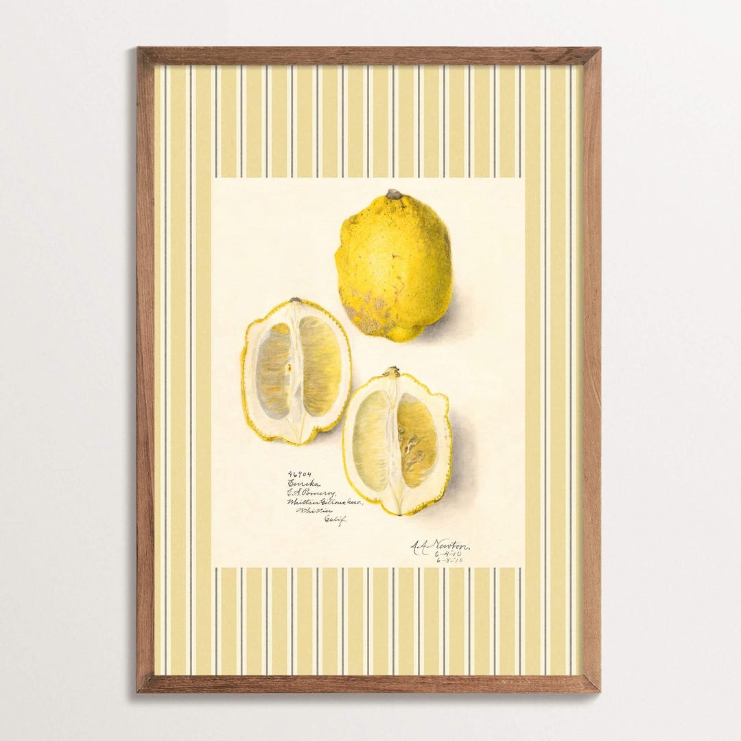 Vintage Lemon Print – Retro Kitchen Fruit Illustration, Antique Citrus ...