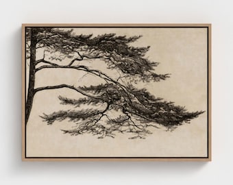 Vintage Pine Tree Canvas Art, Framed Nature Wall Decor, Minimalist Landscape Art Print, Elegant Japanese Tree Silhouette, Nature Lover Gift
