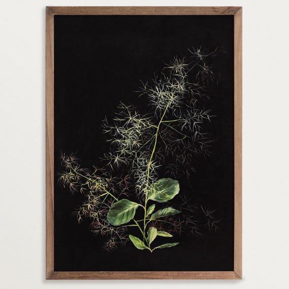 Dark Botanical Print - Study of Hair Grass | Moody Floral Print, Dark Academia Decor, Black Botanical Wall Art