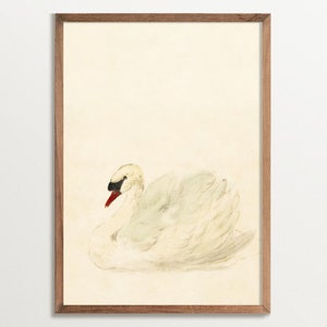 Vintage Swan Print | Farmhouse Wall Art, White Swan Art, Baby Girl Nursery Wall Art