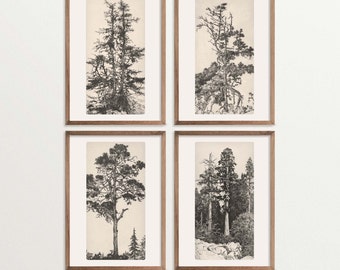 Vintage Baum Radierung Print Set, Natur inspirierte Galerie Wandkunst, Cottagecore Dekor