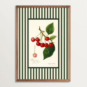 Stampa artistica di ciliegie vintage – Decorazione da parete botanica per cucina con strisce verdi, illustrazione retrò di ciliegie, stile cottage di campagna francese