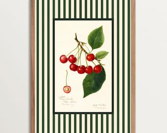 Vintage kersenbotanische kunstprint – Decor Franse keuken in landelijke stijl, retro gestreepte muurkunst