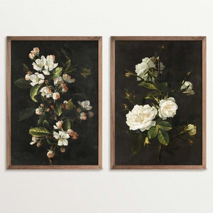 Set di due stampe botaniche scure / Stampa floreale malinconica, decorazione Dark Academia, arte murale botanica nera
