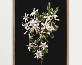 Estampado botánico oscuro - Decoración estilo academia oscura, arte mural floral de azaleas