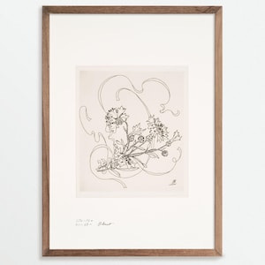 Antike Blumen Skizze Print - Bleuet (Kornblume) | Vintage Botanicals | Chinoiserie Druck | Französische Porzellan Flower Sketch