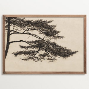 Vintage Pine Tree Sketch Art Print, Cottagecore Decor, Tree Etching Print