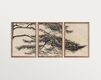 Vintage Pine Tree etsen print set van 3 kunst aan de muur, drieluik kunst aan de muur, Pine Tree Branch print
