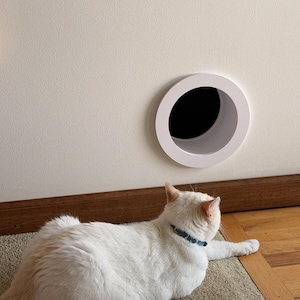 May include: A white circular pet door installed in a light-colored wall. A white cat with a blue collar is lying on the floor in front of the wall, facing the circular opening which reveals a dark interior space beyond the wall structure.