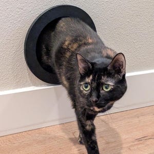 Cat Hole for Interior Wall or Door Cat Portal Simple Modern Cat Door