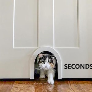 Cat Door *Seconds* - Pet Entryway - Large Pet Door - Indoor Pet Door - Interior Cat Door - Small Dog Door - Simple Arch