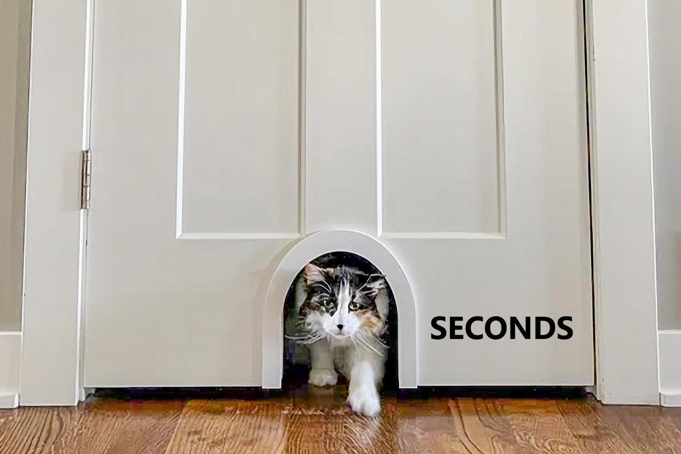 pet doors for cats