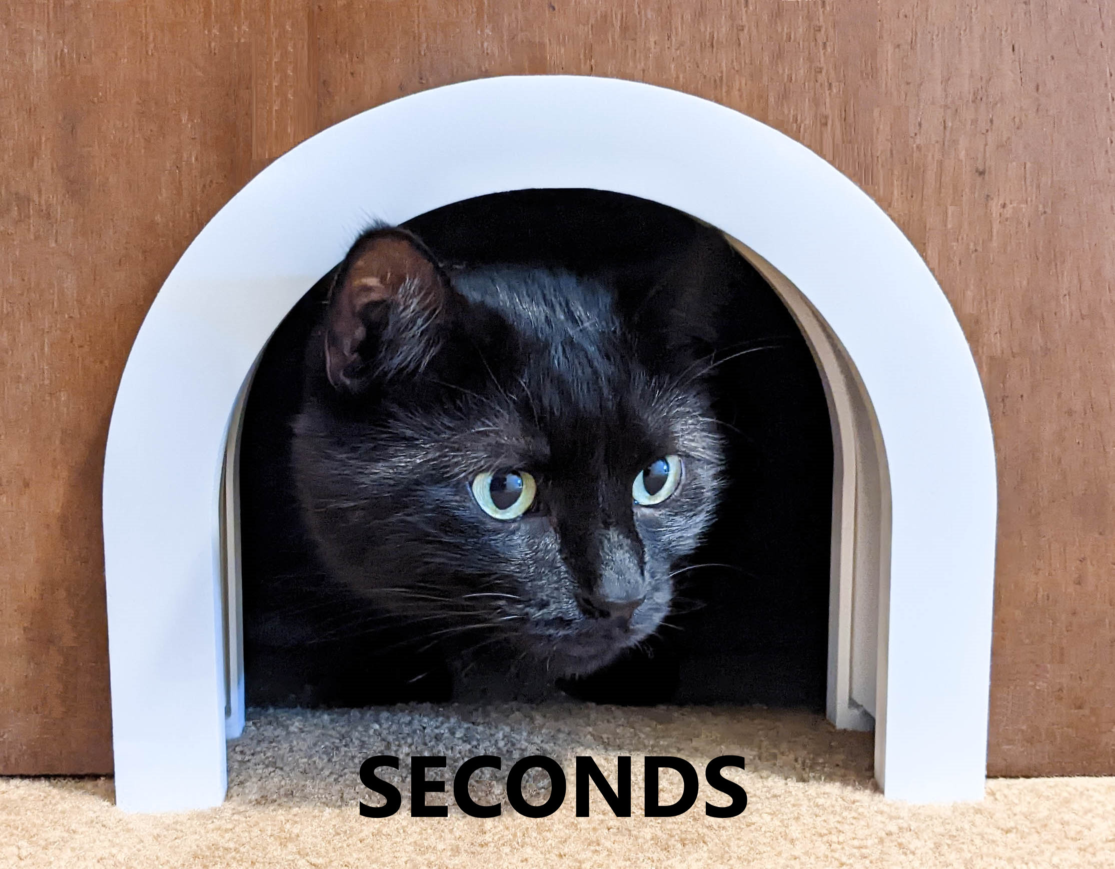 Indoor pet door 2025