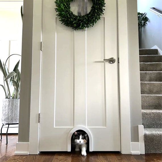 Indoor pet door online