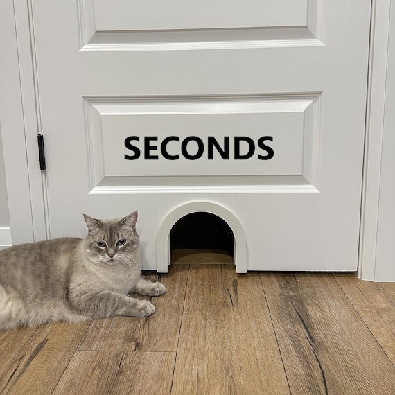 Diy Cat Door The Original Cathole Interior Pet Door Diy Cat Cat