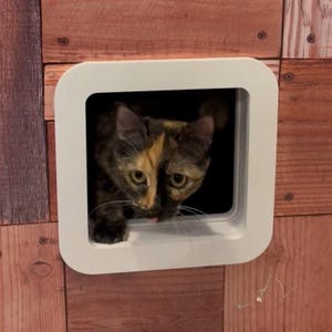 Agujero para gatos para pared interior o puerta Portal para gatos Puerta para gatos moderna y sencilla