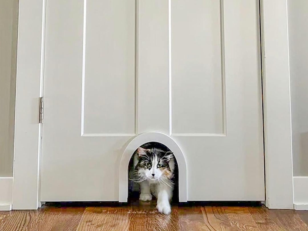 Interior Cat Door Kitty Korneru00ae A New Kind Of Cat Door U2013