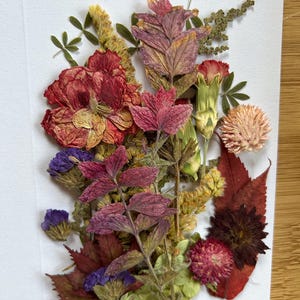 Flores prensadas secas de color rosa / Mezcla botánica natural para resina, fabricación de tarjetas, álbumes de recortes y decoración