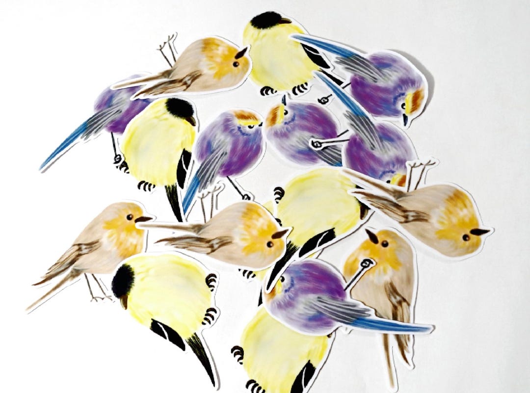 The 6 Pcs Bird Sticker Pack, Die Cut Sticker Pack - Etsy