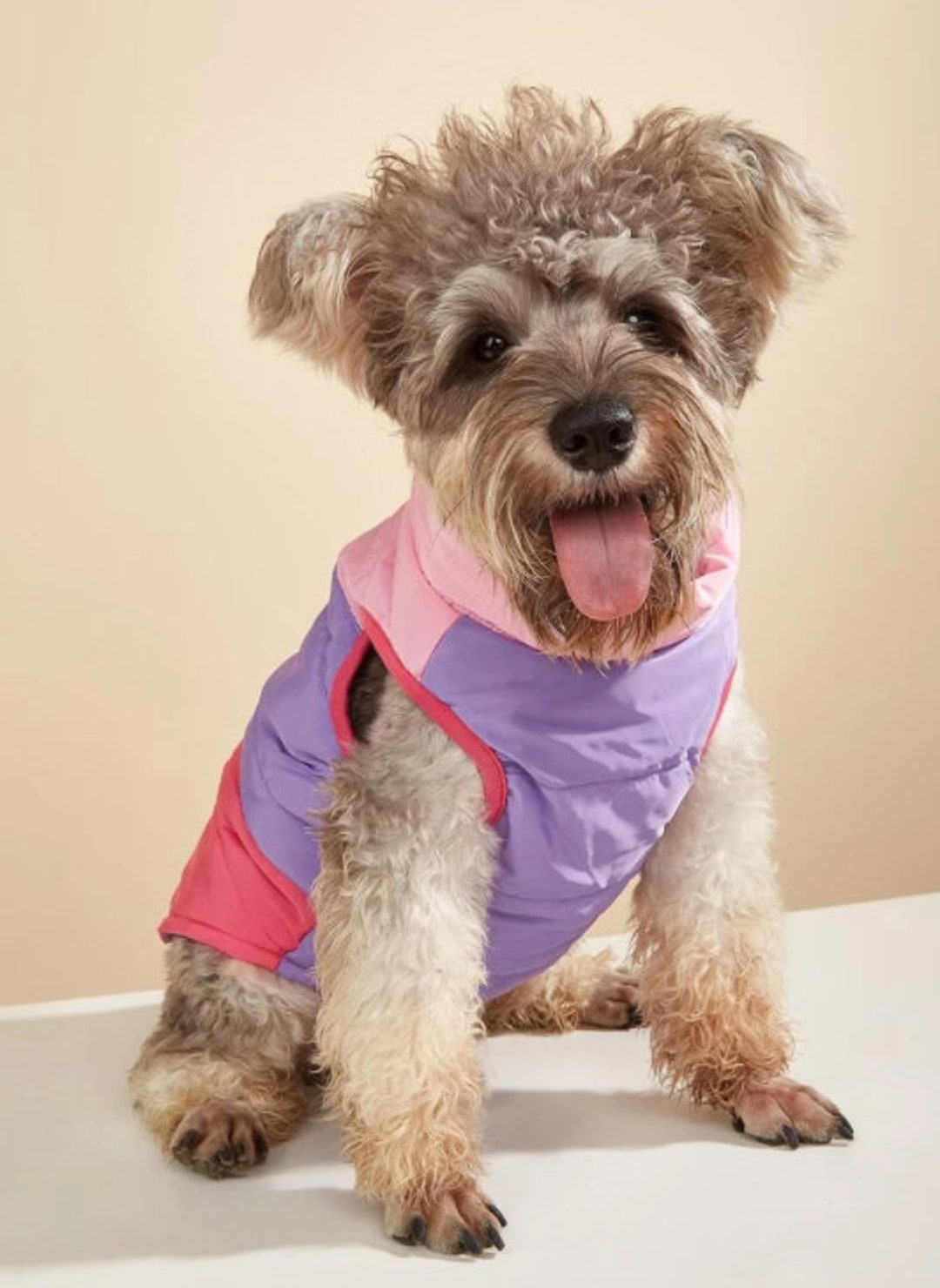 Cotton Candy Swirl Pet Jacket Outdoor Dog Jacket Outdoor Etsy