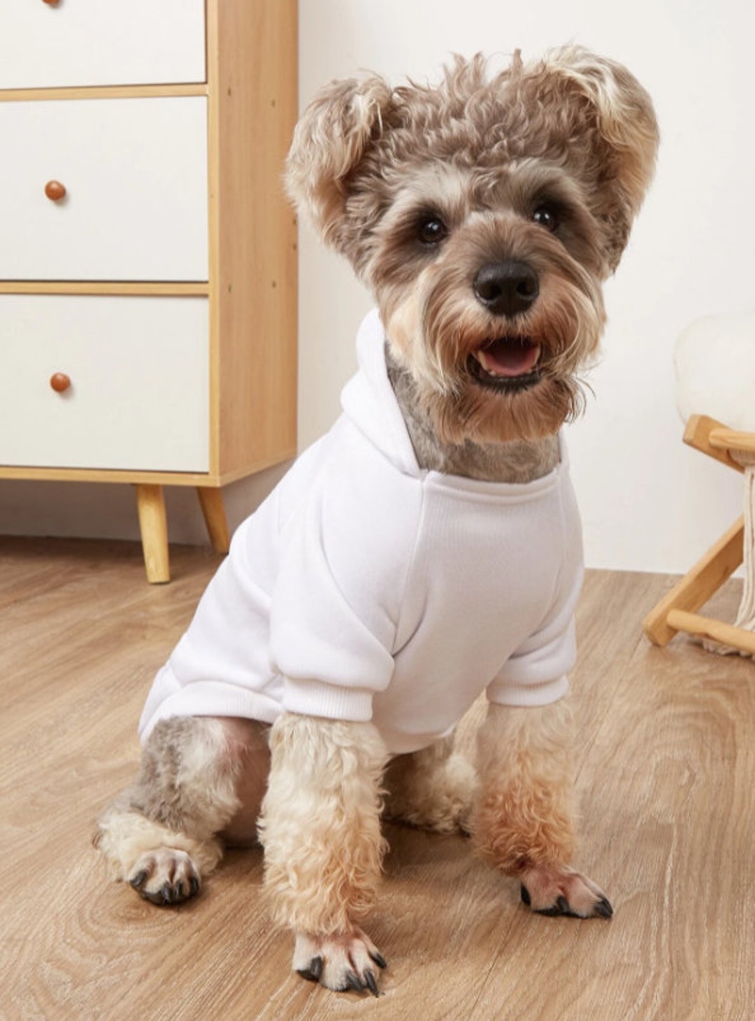 The Perfect Pet Outdoor Dog Jacket Outdoor Cat Jacket Etsy