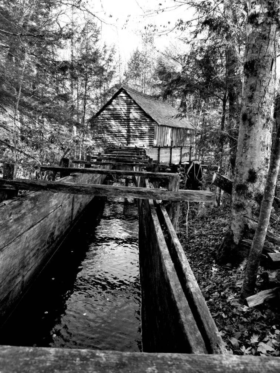 Old Saw Mill Rocky Mountains Etsy