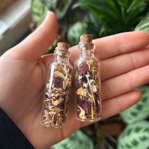 May include: Two small glass bottles with cork stoppers, filled with dried herbs and flowers. The contents include tan, white, and burgundy petals and leaves. The bottles are held in a hand, with green foliage in the background.